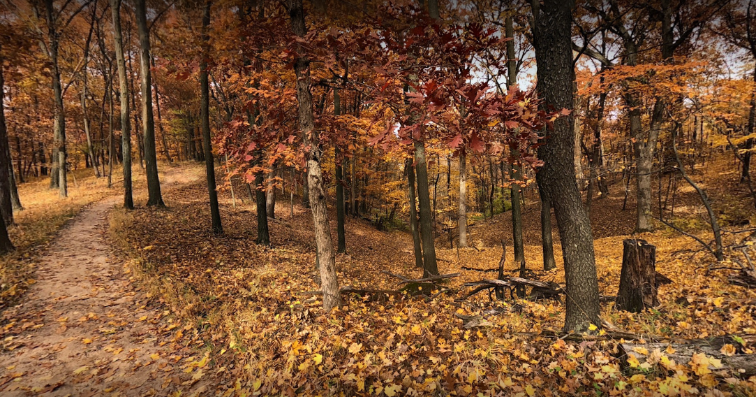 Forest Park Nature Center